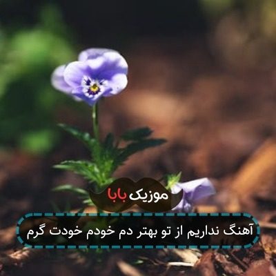 آهنگ نداریم از تو بهتر دم خودم خودت گرم آهنگ نداریم از تو بهتر دم خودم خودت گرم