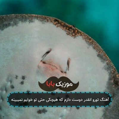 آهنگ تورو انقدر دوست دارم که هیچکی حتی تو خوابم نمیبینه آهنگ تورو انقدر دوست دارم که هیچکی حتی تو خوابم نمیبینه