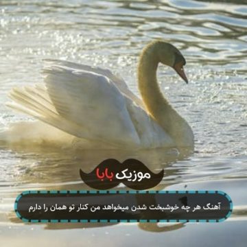 آهنگ هر چه خوشبخت شدن میخواهد من کنار تو همان را دارم