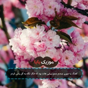 آهنگ یه جوری چشام محو زیبایی هات بود که انگار نگاه به گل یاس کردم آهنگ یه جوری چشام محو زیبایی هات بود که انگار نگاه به گل یاس کردم