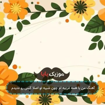 آهنگ من با همه غریبه ام چون شبیه تو اصلا کسی رو ندیدم آهنگ من با همه غریبه ام چون شبیه تو اصلا کسی رو ندیدم