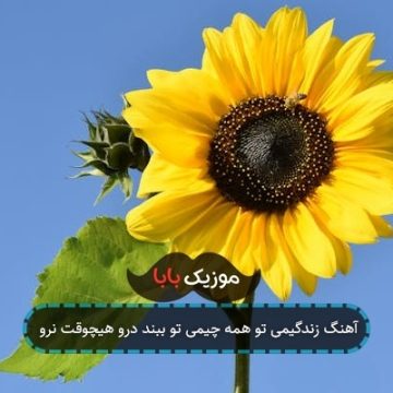 آهنگ زندگیمی تو همه چیمی تو ببند درو هیچوقت نرو