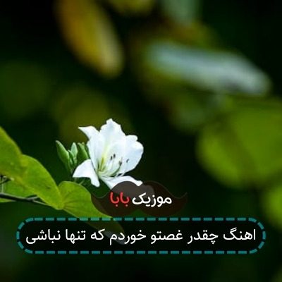 اهنگ چقدر غصتو خوردم که تنها نباشی اهنگ چقدر غصتو خوردم که تنها نباشی