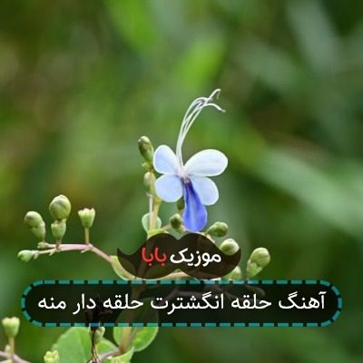 آهنگ حلقه انگشترت حلقه دار منه