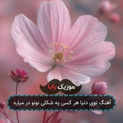 آهنگ توی دنیا هر کسی یه شکلی نونو در میاره