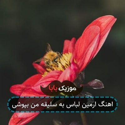 اهنگ ارمین لباس به سلیقه من بپوشی