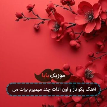 آهنگ بگو ناز و اون ادات چند میمیرم برات من آهنگ بگو ناز و اون ادات چند میمیرم برات من
