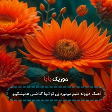آهنگ دیوونه قلبم میمیره بی تو تنها گذاشتی همیشگیتو