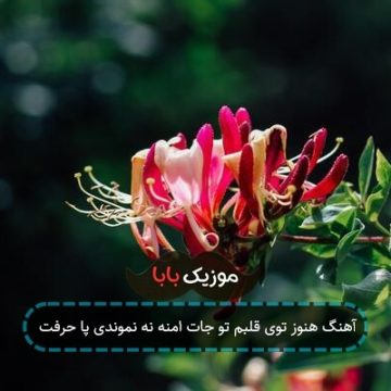 آهنگ ﻫﻨﻮز ﺗﻮی ﻗﻠﺒﻢ ﺗﻮ ﺟﺎت اﻣﻨﻪ ﻧﻪ ﻧﻤﻮﻧﺪی ﭘﺎ ﺣﺮﻓﺖ