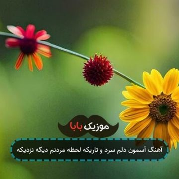 آهنگ آسمون دلم سرد و تاریکه لحظه مردنم دیگه نزدیکه