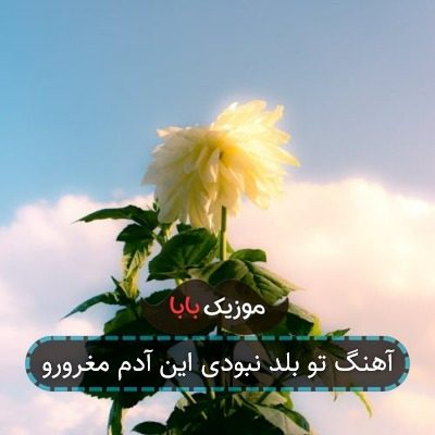 آهنگ تو بلد نبودی این آدم مغرورو آهنگ تو بلد نبودی این آدم مغرورو