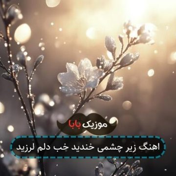 اهنگ زیر چشمی خندید خب دلم لرزید