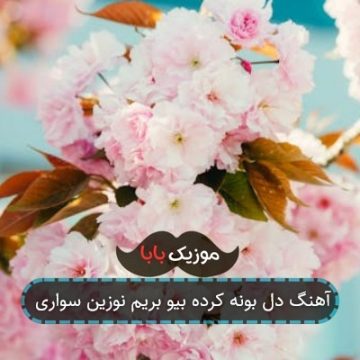 آهنگ دل بونه کرده بیو بریم نوزین سواری آهنگ دل بونه کرده بیو بریم نوزین سواری