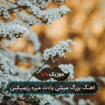 اهنگ بزرگ میشی یادت میره ریمیکس