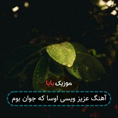 آهنگ عزیز ویسی اوسا که جوان بوم آهنگ عزیز ویسی اوسا که جوان بوم