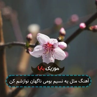 آهنگ ﻣﺜﻞ ﻳﻪ ﻧﺴﻴﻢ ﺑﻮﻣﻰ ﻧﺎﮔﻬﺎن ﻧﻮازﺷﻢ ﻛﻦ