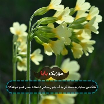 آهنگ من میخوام یه دسته گل به آب بدم ریمیکس اینستا با صدای تمام خوانندگان آهنگ من میخوام یه دسته گل به آب بدم ریمیکس اینستا با صدای تمام خوانندگان