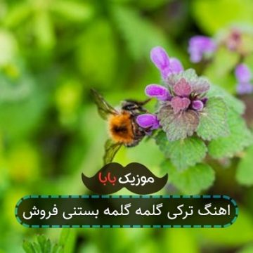 اهنگ ترکی گلمه گلمه بستنی فروش اهنگ ترکی گلمه گلمه بستنی فروش
