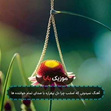 آهنگ نمیدونی که امشب چرا دل بیقراره با صدای تمام خواننده ها