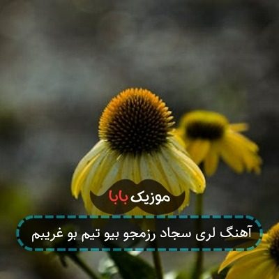 آهنگ لری سجاد رزمجو بیو تیم بو غریبم آهنگ لری سجاد رزمجو بیو تیم بو غریبم