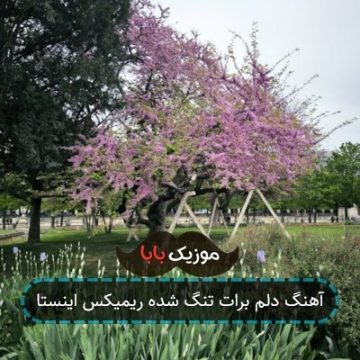 آهنگ دلم برات تنگ شده ریمیکس اینستا