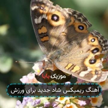 آهنگ ریمیکس شاد جدید برای ورزش آهنگ ریمیکس شاد جدید برای ورزش