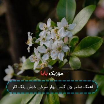 آهنگ دختر چل گیس بهار سرخی خوش رنگ انار آهنگ دختر چل گیس بهار سرخی خوش رنگ انار