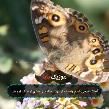 آهنگ هرچی شدم وابسته تر بهت افتادم از چشم تو حیف امو بند آهنگ هرچی شدم وابسته تر بهت افتادم از چشم تو حیف امو بند