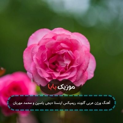 آهنگ یارم شده دارو ندارم شده