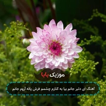 آهنگ ای دلبر جانم بیا به کنارم چشمم فرش پاته آروم جانم