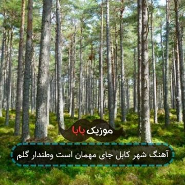 آهنگ شهر کابل جای مهمان است وطندار گلم