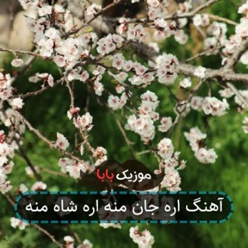 آهنگ اره جان منه اره شاه منه