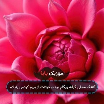 آهنگ محلی گیانه ریگام نیه بو دیتنت از بیرم کردوی به لام