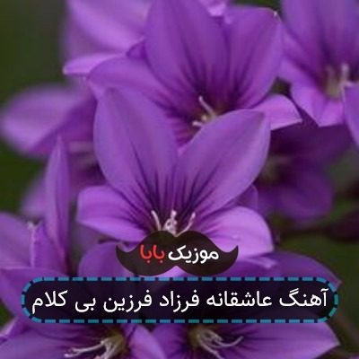 آهنگ عاشقانه فرزاد فرزین بی کلام