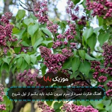 آهنگ فکرت نمیره از سرم بیرون شاید باید بکنم از اول شروع