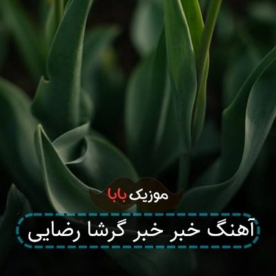 آهنگ خبر خبر گرشا رضایی