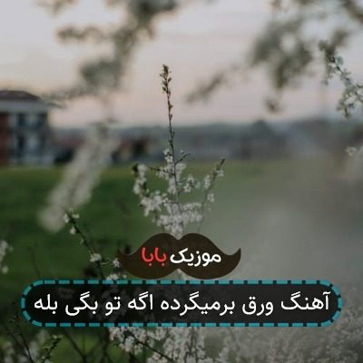 آهنگ ورق برمیگرده اگه تو بگی بله آهنگ ورق برمیگرده اگه تو بگی بله