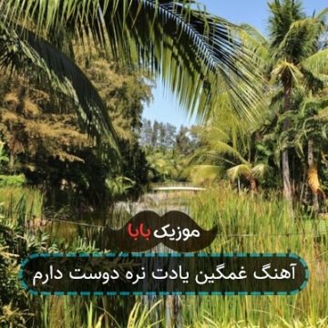 آهنگ غمگین یادت نره دوست دارم