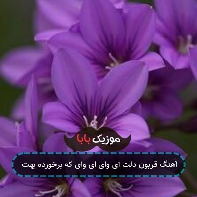 آهنگ قربون دلت ای وای ای وای که برخورده بهت