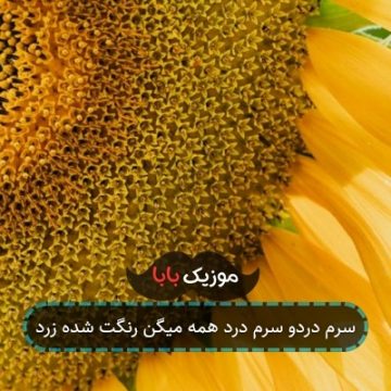 سرم دردو سرم درد همه میگن رنگت شده زرد سرم دردو سرم درد همه میگن رنگت شده زرد