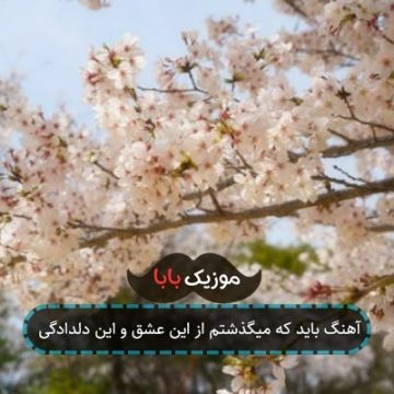 آهنگ باید که میگذشتم از این عشق و این دلدادگی
