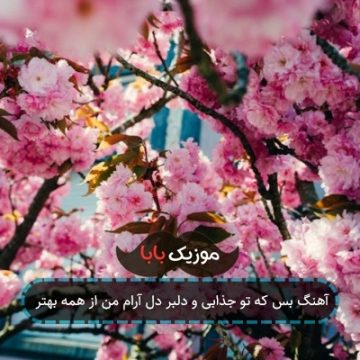 آهنگ دلبر دلبر تویی از همه بهتر از خونه ی قلبم دلبر نزنی پر