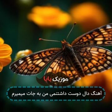 آهنگ دال دوست داشتنمی من به جات میمیرم آهنگ دال دوست داشتنمی من به جات میمیرم