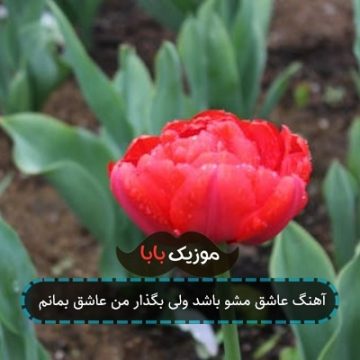 آهنگ عاشق مشو باشد ولی بگذار من عاشق بمانم آهنگ عاشق مشو باشد ولی بگذار من عاشق بمانم