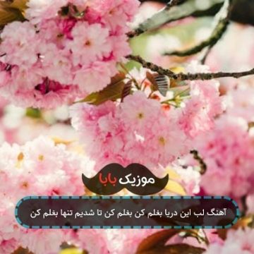 آهنگ لب این دریا بغلم کن بغلم کن تا شدیم تنها بغلم کن آهنگ لب این دریا بغلم کن بغلم کن تا شدیم تنها بغلم کن