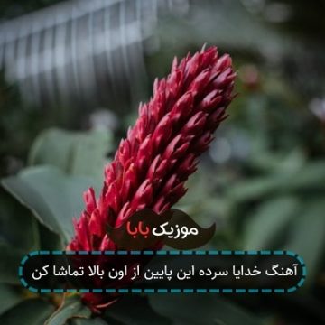 آهنگ خدایا سرده این پایین از اون بالا تماشا کن