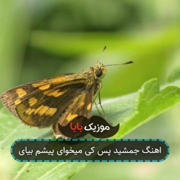 اهنگ جمشید پس کی میخوای پیشم بیای