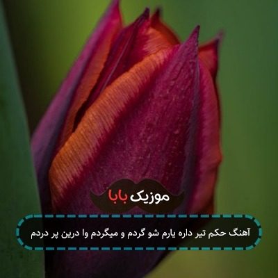 آهنگ حکم تیر داره یارم شو گردم و میگردم وا درین پر دردم