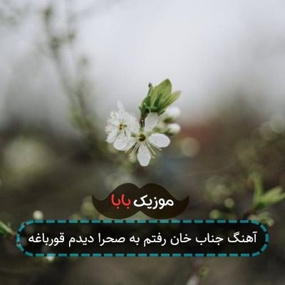 آهنگ جناب خان رفتم به صحرا دیدم قورباغه آهنگ جناب خان رفتم به صحرا دیدم قورباغه