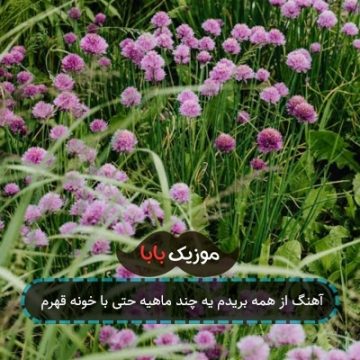 آهنگ از همه بریدم یه چند ماهیه حتی با خونه قهرم آهنگ از همه بریدم یه چند ماهیه حتی با خونه قهرم
